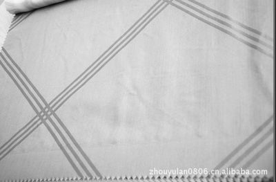 天絲真絲大提花